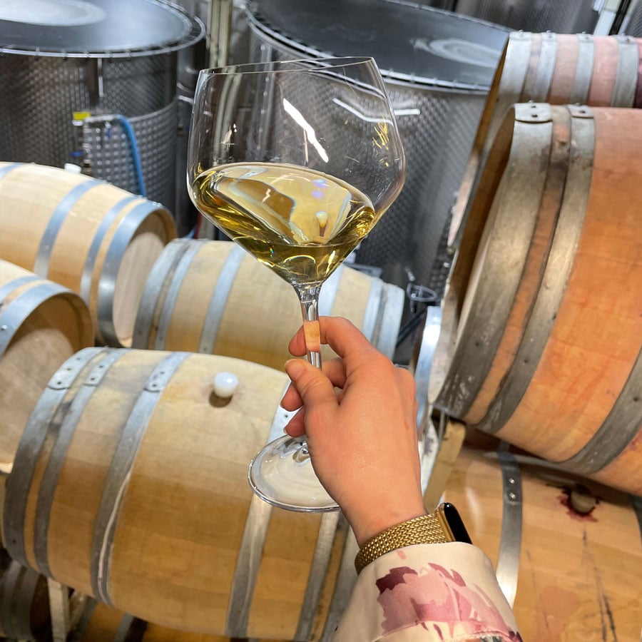 Celebrating Cool Climate Chardonnay